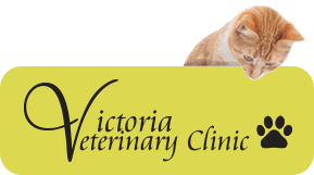 Victoria Veterinary Clinic Home