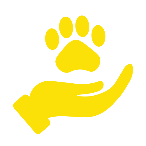 Wellness Care Icon Yellow