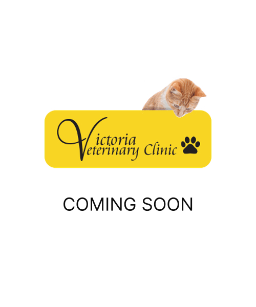 Team member placholder