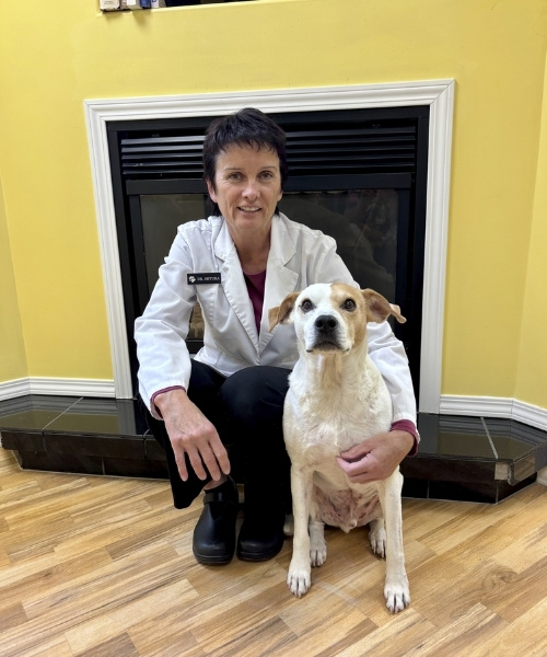 Dr. Denita Shtuka(DVM)